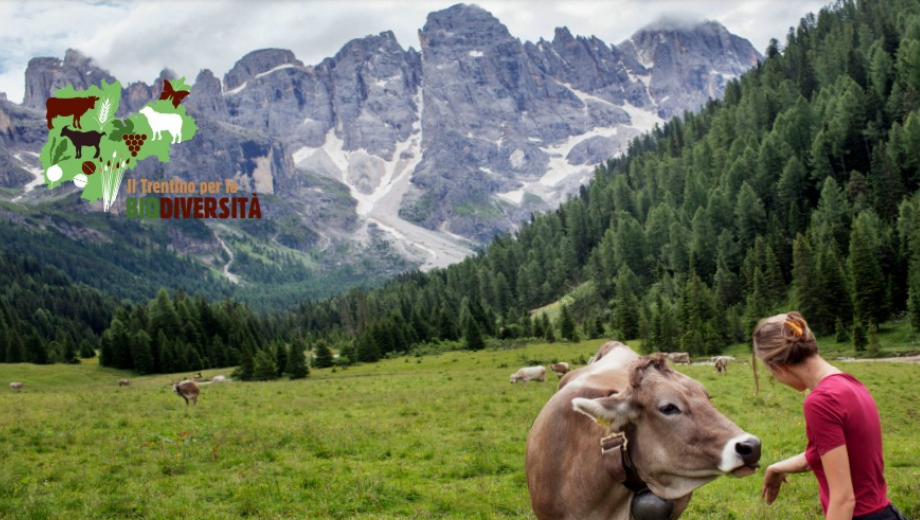 Immagine title: Immagine alt:
