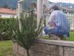 Immagine alt: