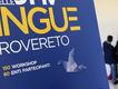 Immagine alt: