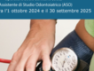 Immagine alt: