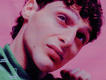 Immagine alt: