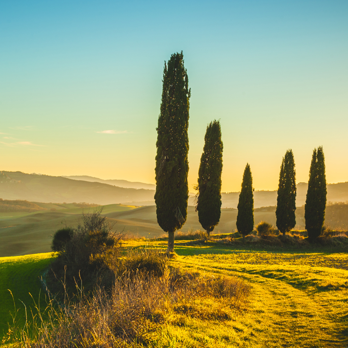 Immagine title: Immagine alt: