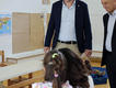 Immagine alt: