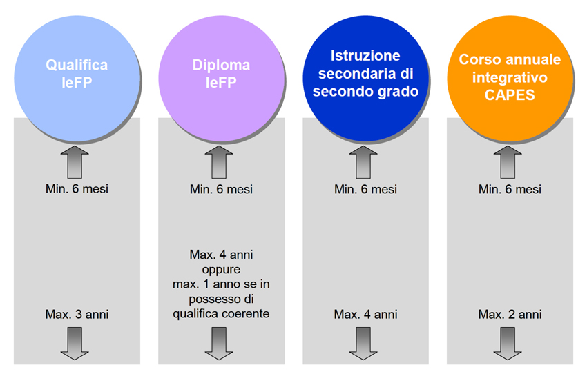 Immagine alt: