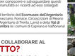 Immagine alt: