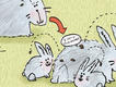 Immagine alt:
